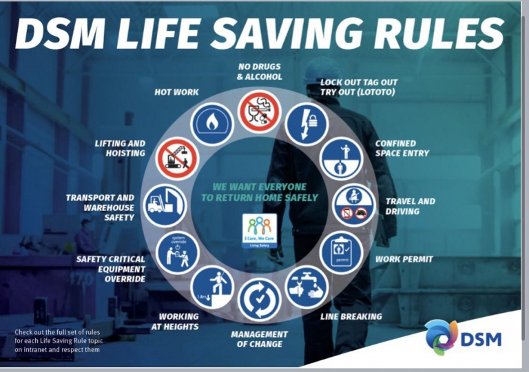 DSM Life Savind Rules